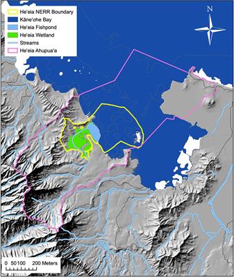 Assessment of CO2 and O2 spatial variability in an indigenous aquaculture system for restoration impacts